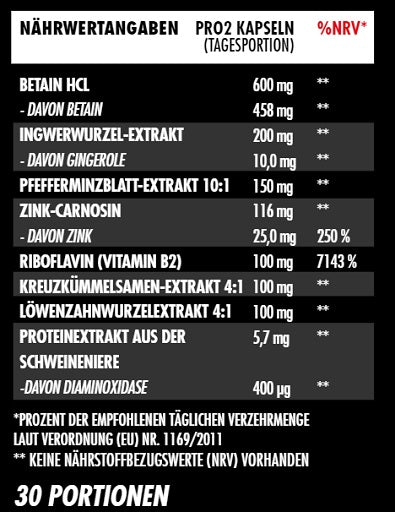 Big Zone Gut+ 60 Kapseln — vue 2