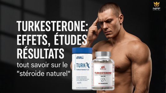 Turkesterone : effets, études, résultats – tout savoir sur le “stéroïde naturel”