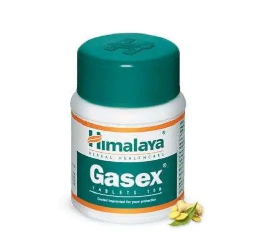 Himalaya Gasex 100 Tabletten Himalaya